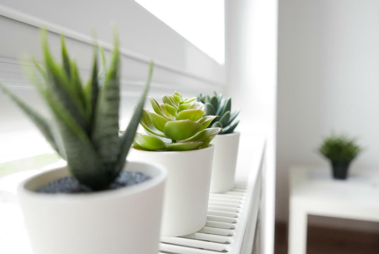 Apartament Jantarowa Lublin Eksteriør billede